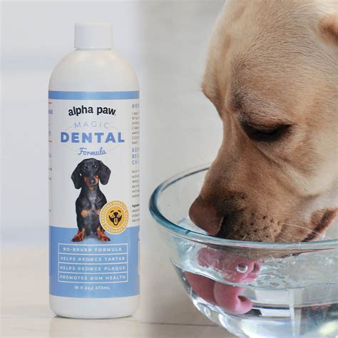 Magical oral rinse for canines